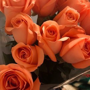 Meet your Posher, Bre